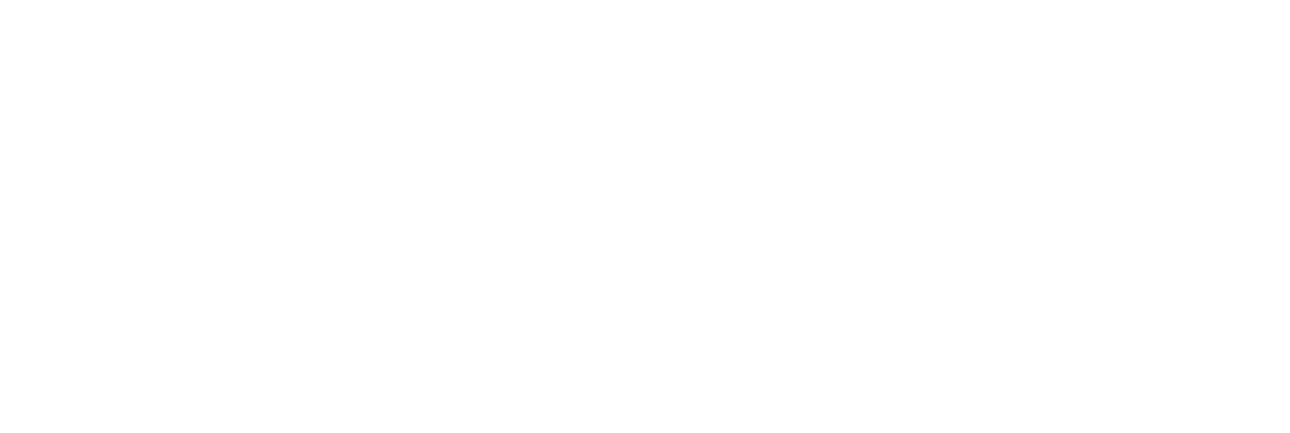 Tormenta 20